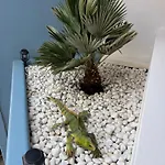Air Conditioning, Private Parking And Fully Equipped Kitchen In In Golf Del Sur, Tenerife Lägenhetshotell 3*